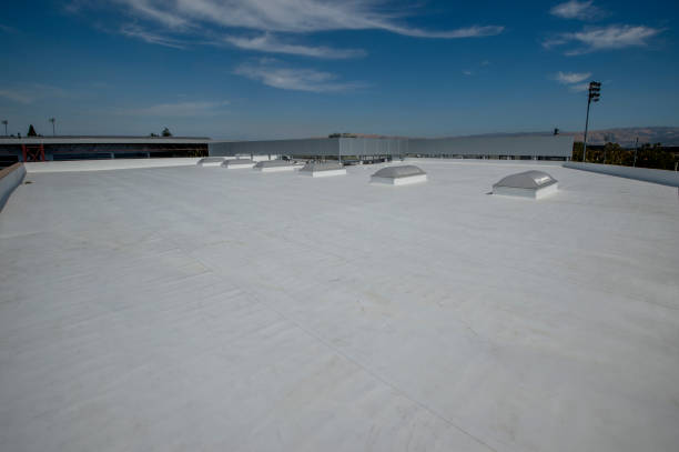 Best Cold Roofs  in Mayo, FL