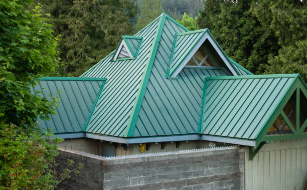 Best Solar Panel Roofing Installation  in Mayo, FL